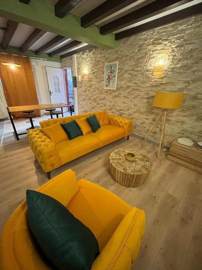 Appart Hotel Le 8 Le Duplex Mâcon Extérieur photo